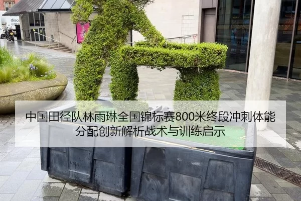 中国田径队林雨琳全国锦标赛800米终段冲刺体能分配创新解析战术与训练启示