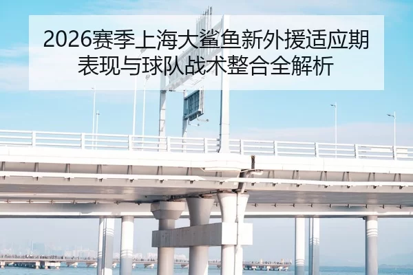 2026赛季上海大鲨鱼新外援适应期表现与球队战术整合全解析